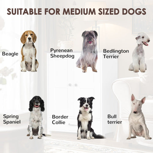 Luxury Dog Feeding Station with Hidden Bowls & Storage – Modern White Cabinet Design