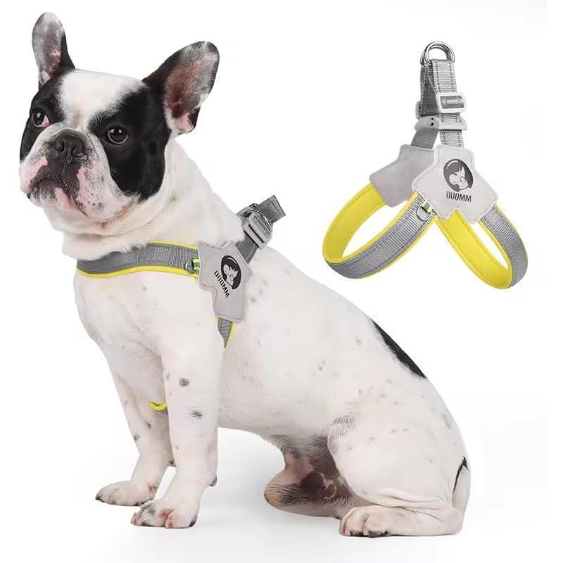 BEIMUGE Pet Harness with Leash – Comfort & Safety Design