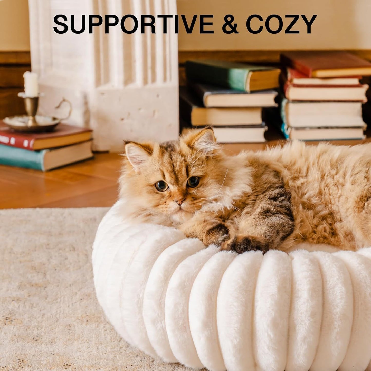 Masion De Paw™ Luxury Fluffy Pet Bed – Calming Washable Round Pet Bed for Small Dogs & Puppies (Cream)