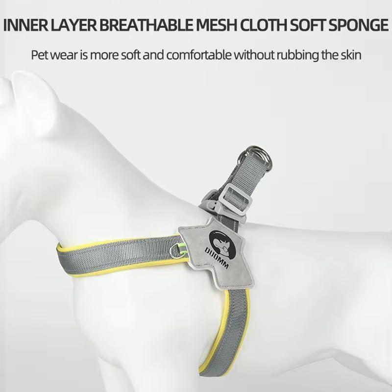 BEIMUGE Pet Harness with Leash – Comfort & Safety Design